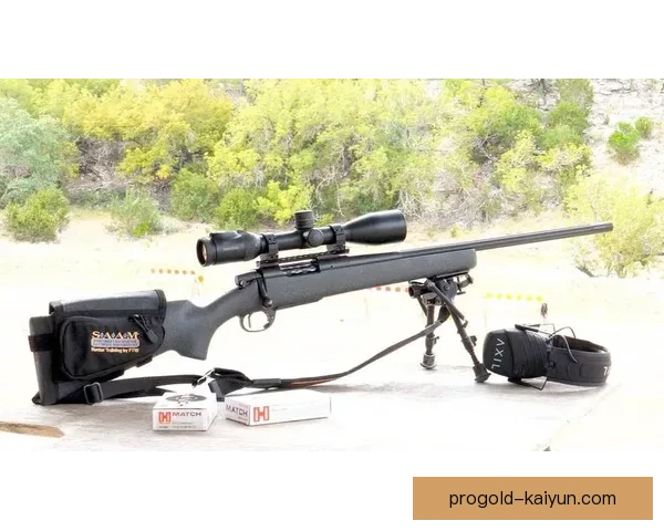 卡梅隆·伯吉斯在英超中的表现稳健，值得关注。